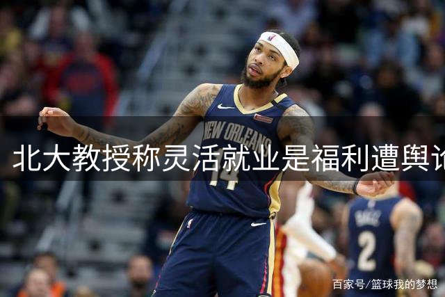 北大教授称灵活就业是福利遭舆论反噬 胡锡进建议道歉